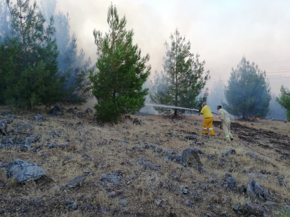 Gaziantep'te orman yangını  (10 hektar kül oldu) - 1