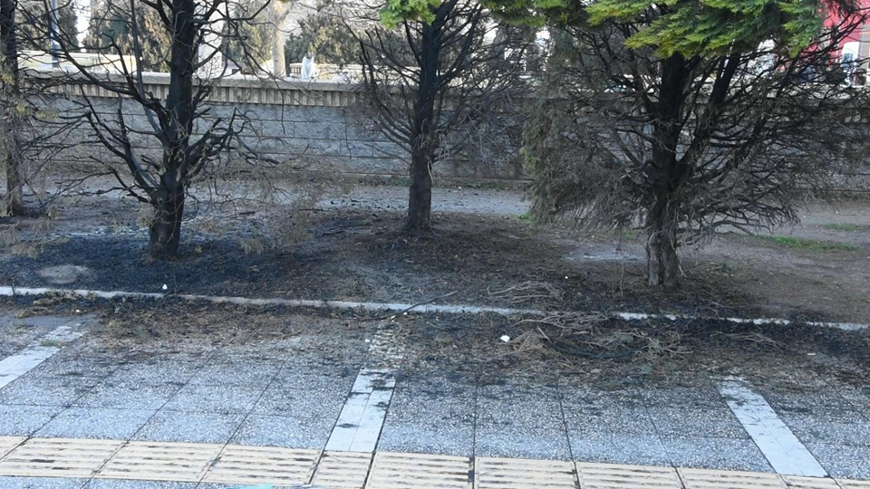 İzmir'de Konak Meydanı'ndaki ağaçlar yakıldı - 1