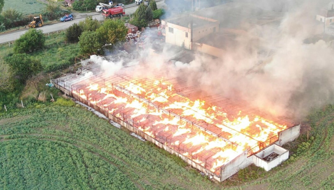 Manisa’da depo yangını: 160 ton kozalak küle döndü