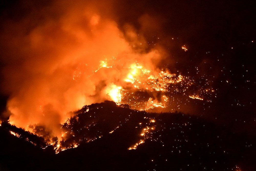 Hatay ve Mersin'de orman yangını - 20