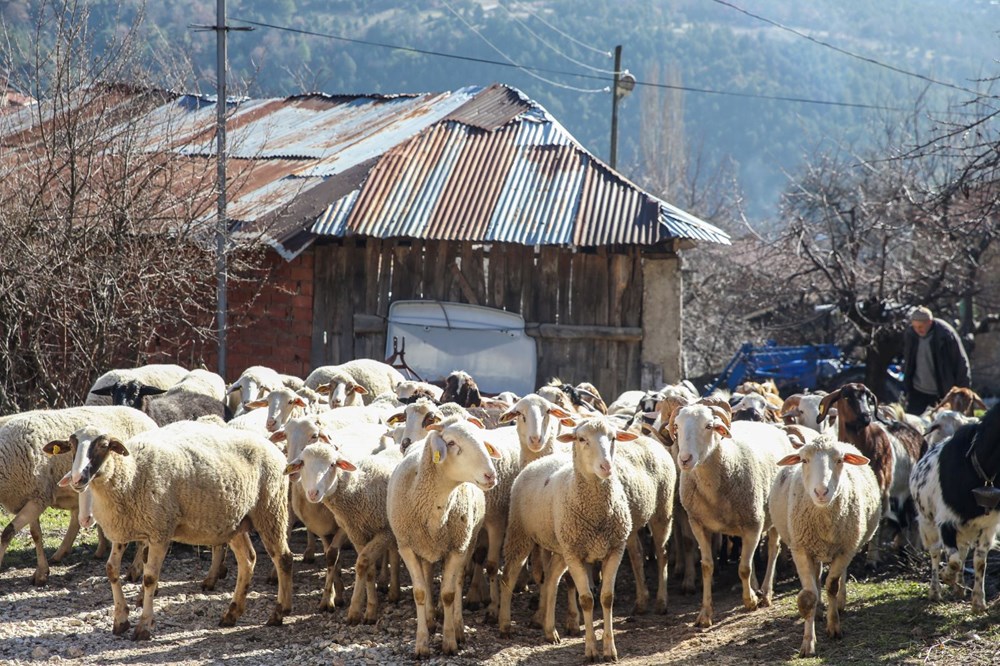 Kent merkezine 72 kilometre uzaklıkta Osmanlı mirası: Binalar yazın serin, kışın sıcak - 9