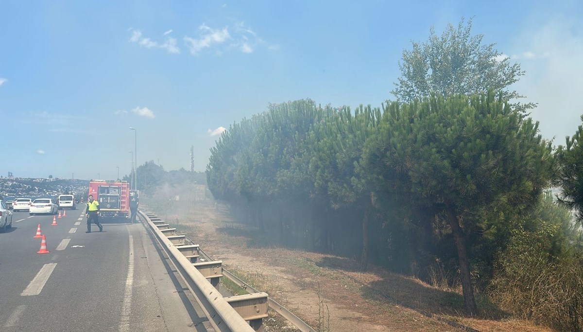 15 Temmuz Köprüsü yolunda ağaçlık alanda yangın