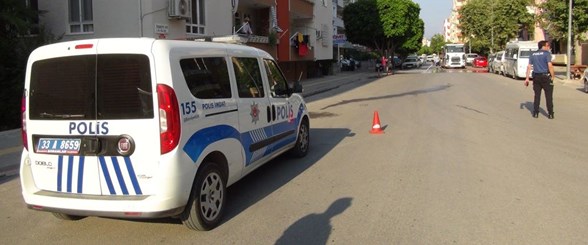kızıl kahverengi bulmaca feri cansel