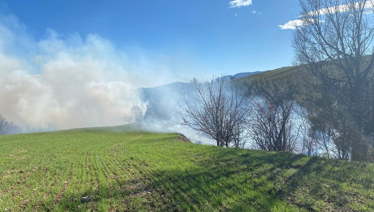 Adana'da orman yangını