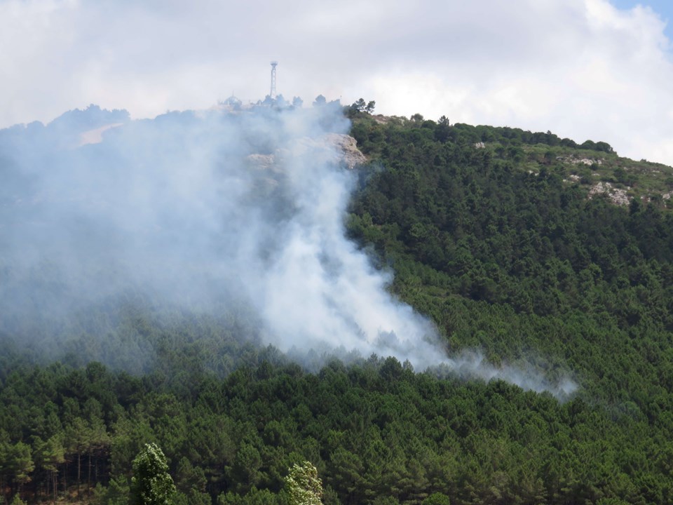 İstanbul'da orman yangını - 1