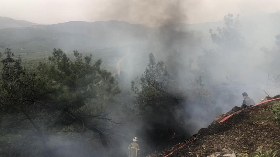 Çanakkale, Bursa ve Bilecik'te orman yangını - 2