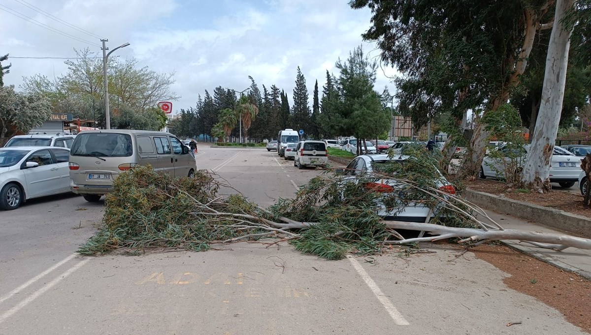 Adana’da fırtına ağaçları devirdi Adana’da fırtına ağaçları devirdi