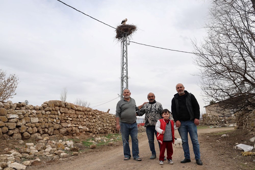 Sivas'ta Baharın Müjdecisi Leylekler, 40 Yıllık Coşkulu Bir Ritüelle Karşılanıyor 73 ZfqGpOPtUU sT5PtOE93Zw