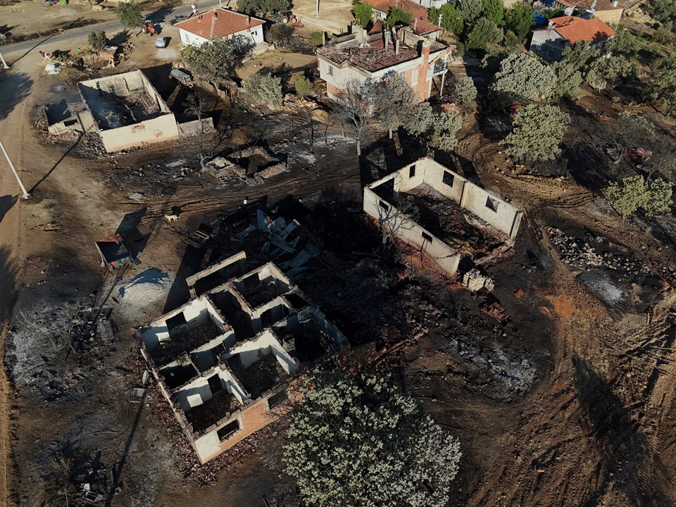 Orman yangınlarının bilançosu: 132 yapı küle döndü - 1