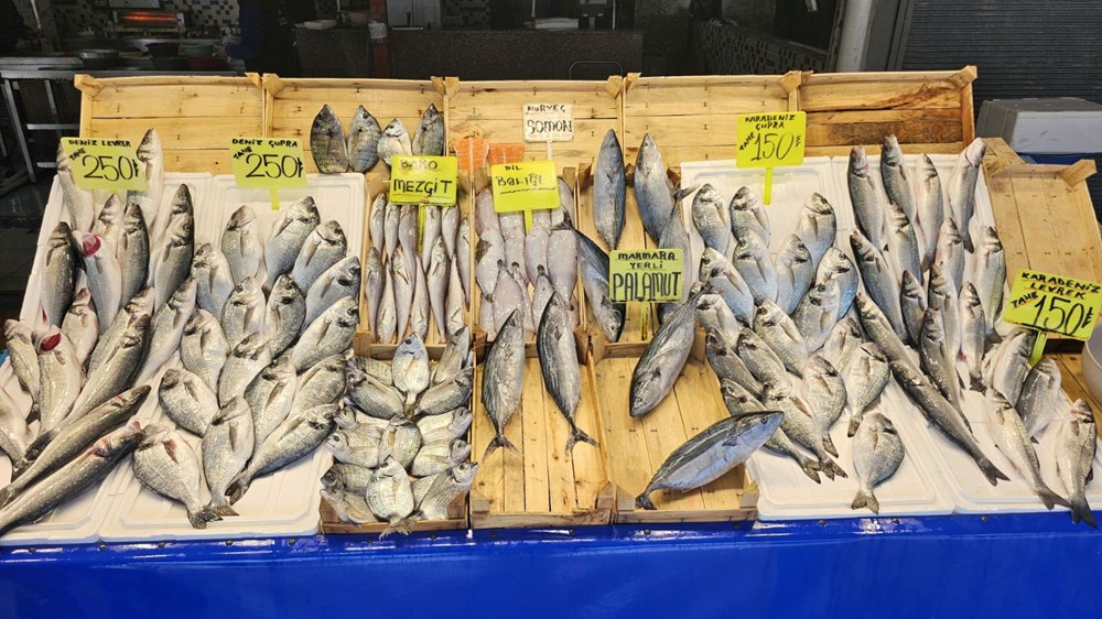 Hamsi, sardalya ve levrek var: Balık tezgahları boş kalmayacak 74 ZiIRywq68kix4vhGl Rong