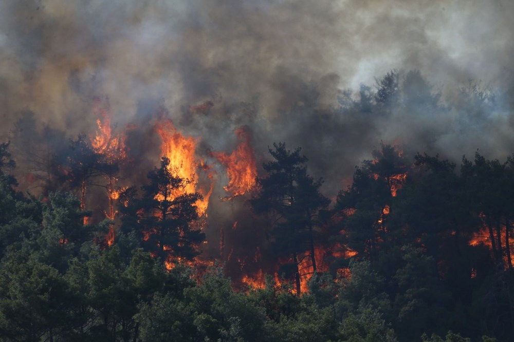 Çanakkale ve Muğla'da orman yangını: Gelibolu'da alevler büyük ölçüde kontrol altında - 3