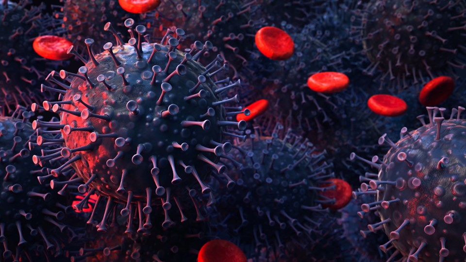 Antikor ilaçları corona virüsün mutasyonlarına karşı başarısız oldu - 1
