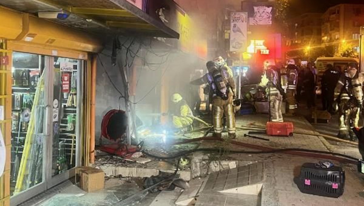 Maltepe'de petshopta yangın: Çok sayıda muhabbet kuşu öldü Maltepe'de petshopta yangın: Çok sayıda muhabbet kuşu öldü