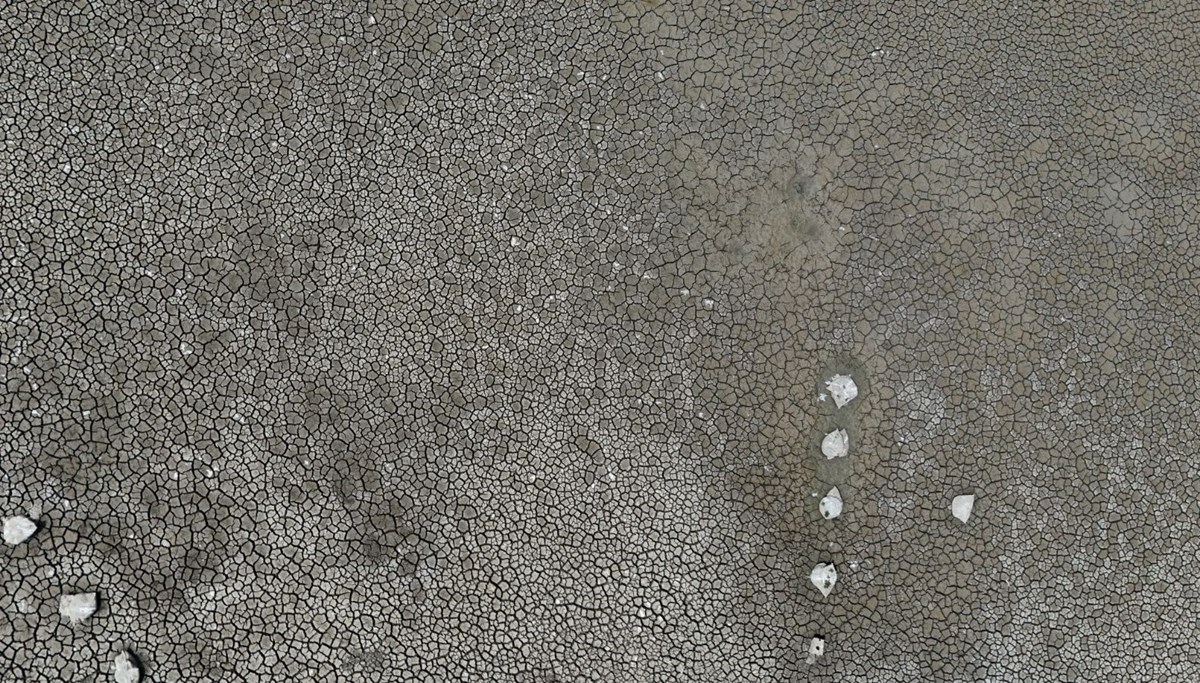 İstanbul'un yanı başında endişe veren görüntü: Balıklar yaşam savaşı veriyor