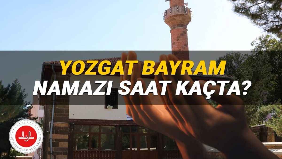 ZnGAaMzbUUuE7Qrr78D-yw.jpg