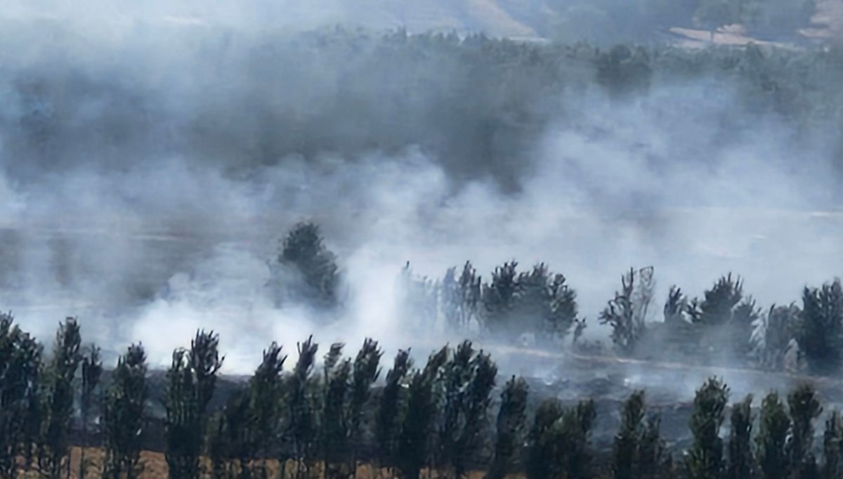 Hevsel Bahçeleri'nde yangın paniği