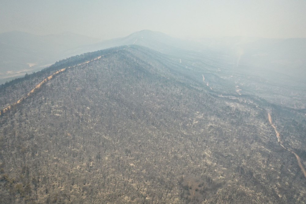 Sakarya-Bilecik orman yangınında son durum: Alevler yeniden büyüdü, köylerde anons yapılıyor - 5