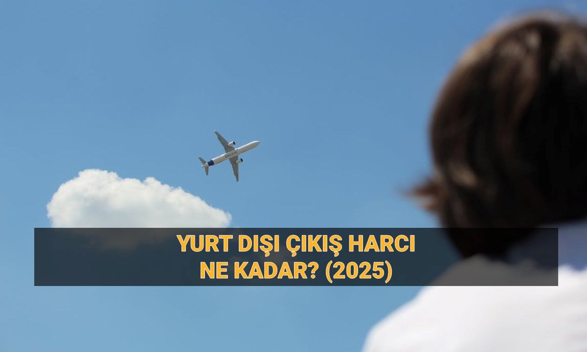 ZsmwKt8m7kOxKZPbrTuvkQ.jpg