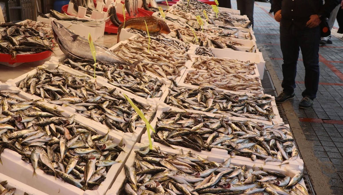 Rize'de balıkçı tezgahlarında bolluk yaşanıyor