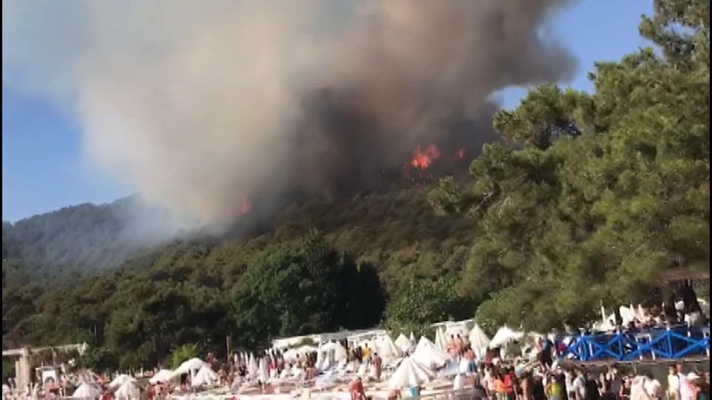 İstanbul Heybeliada'da orman yangını - 1