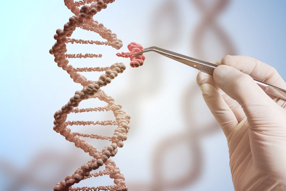 Bilim insanları ilk kez tam insan genomunu sıraladı - 3