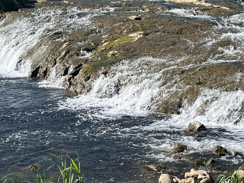 Zvlu2GJEzUCS3SttIg9H5g