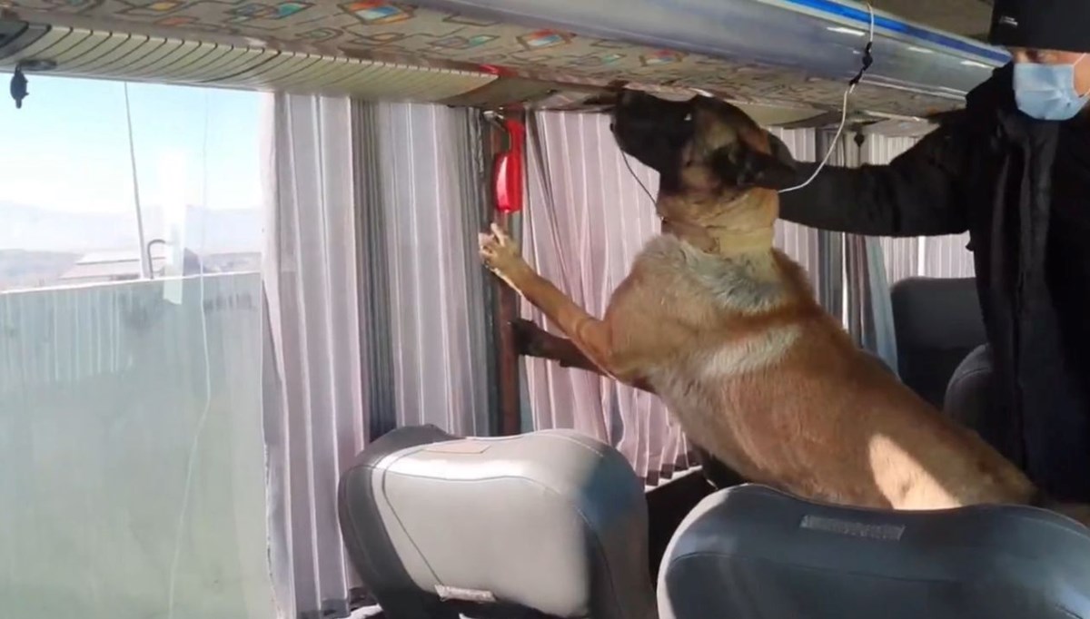 Otobüs bagajında uyuşturucu bulundu