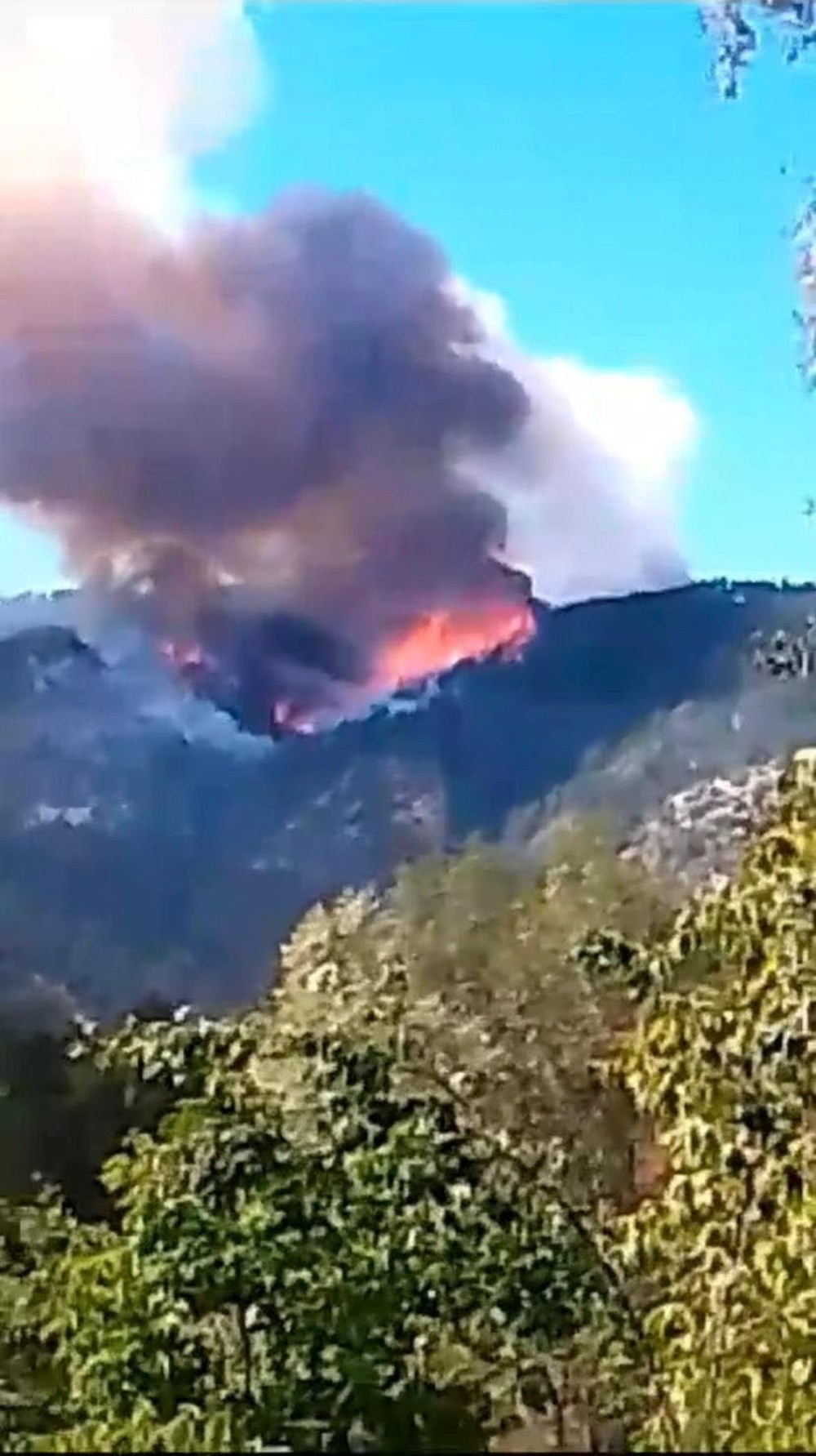 Orman yangınlarıyla mücadele | Bakan Yumaklı: Eylül'ün 15'ine kadar alarm durumumuz devam ediyor - 25