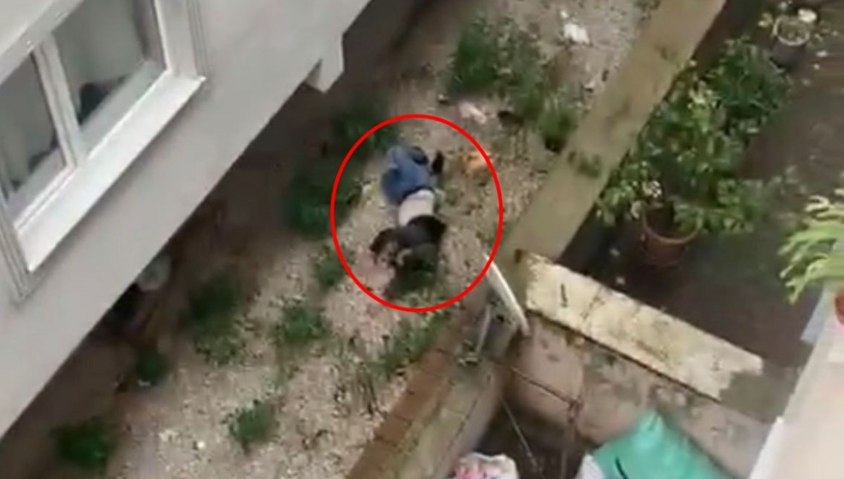 Aldatma şüphesiyle sevgilisini balkondan iten kadın: Dengesini kaybetti Aldatma şüphesiyle sevgilisini balkondan iten kadın: Dengesini kaybetti