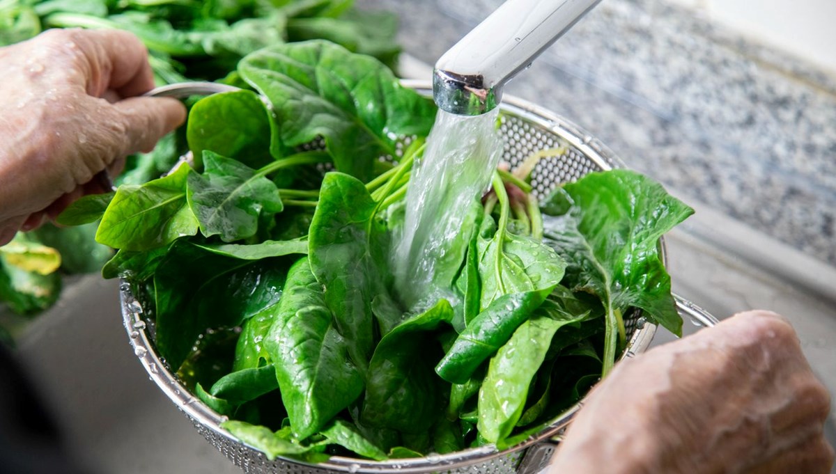 Ispanak gerçekten sağlıklı mı? Araştırma sonuçları şaşırttı