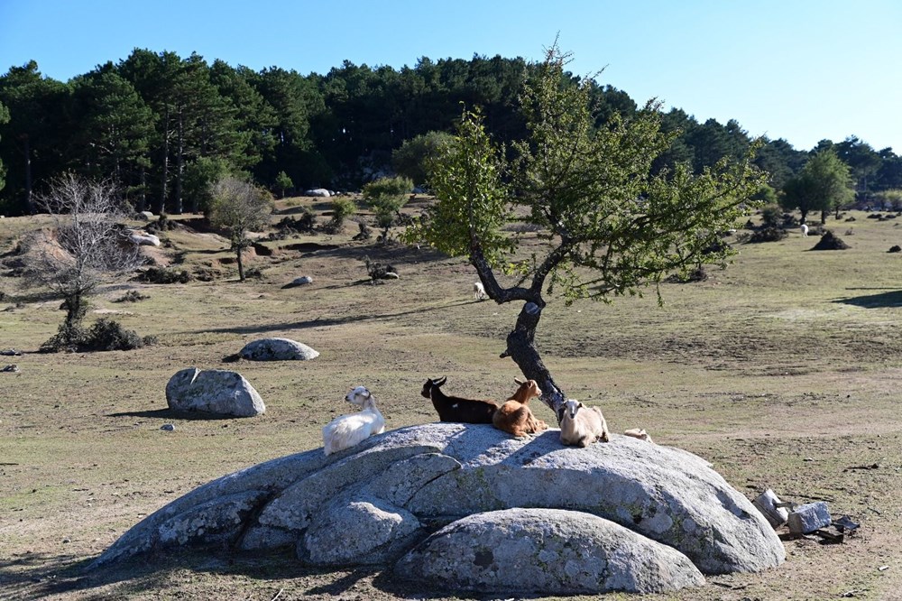 İda Madra Jeoparkı UNESCO yolunda - 6