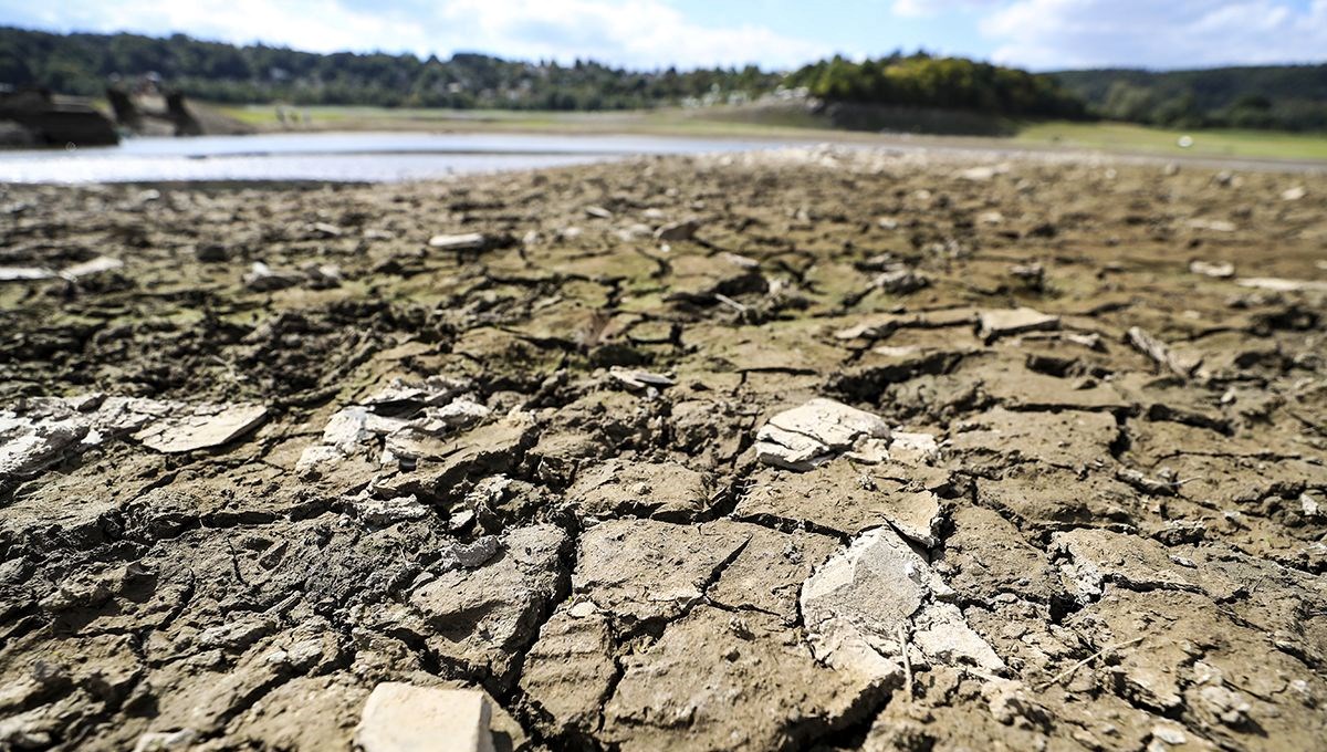 Meteoroloji’den ekim raporu | İzmir’de yağışlar yüzde 90 azaldı, batıda şiddetli kuraklık var Meteoroloji’den ekim raporu | İzmir’de yağışlar yüzde 90 azaldı, batıda şiddetli kuraklık var