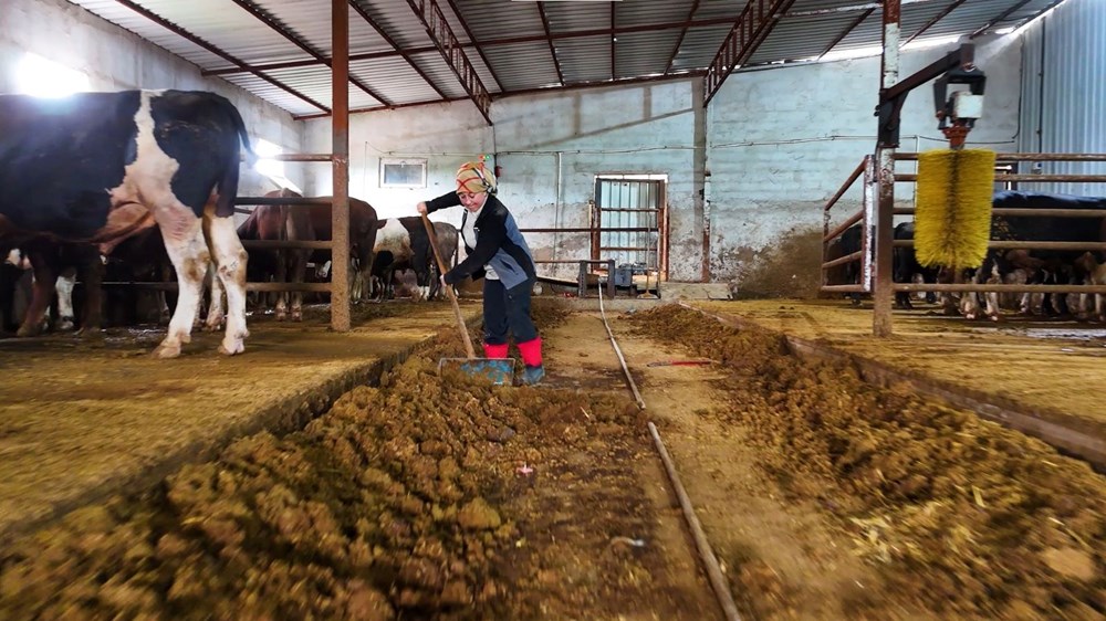 ''Kadınsın yapamazsın'' dediler, çiftlik kurdu 73 ZzdtgJJ3vUWqUygOjiEXng