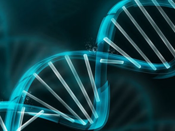 altinci his geni bulundu saglik