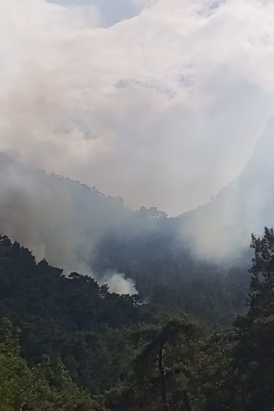 Antalya'da orman yangını kontrol altına alındı - 1