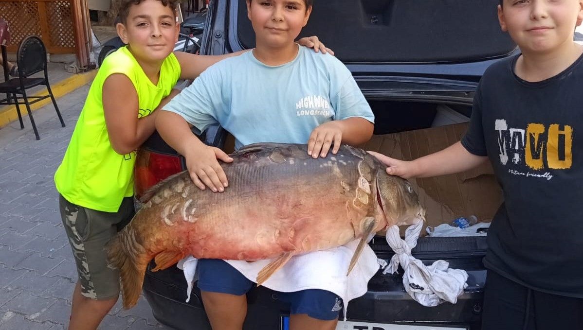 Tekirdağ'da ağlara takıldı: Tam 38 kilo ağırlığında
