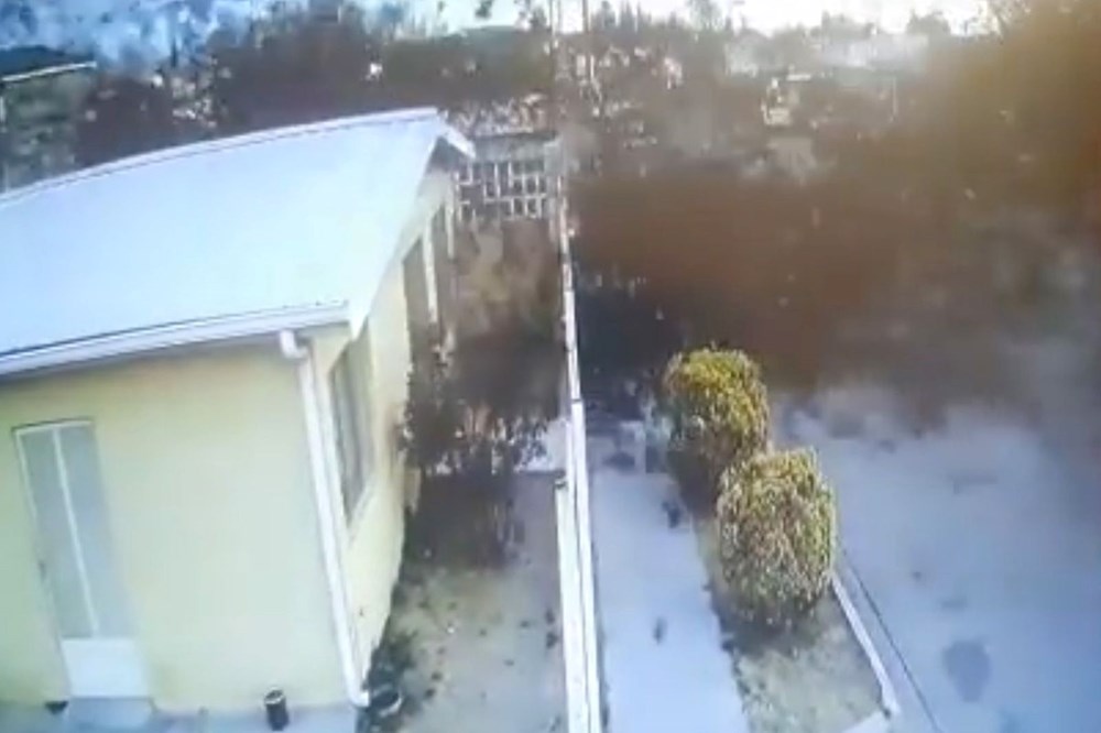 Meksika’da gökyüzünden yüzlerce ölü kuş yağdı: Bilim insanları gizemini çözmeye çalışıyor - 3