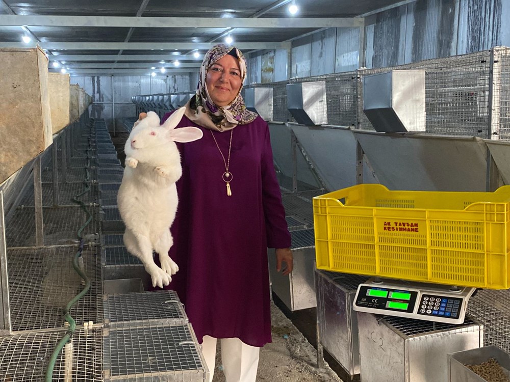 Kendi marka ve logosunu oluşturdu, tavşan etini Avrupa'ya satacak - 4