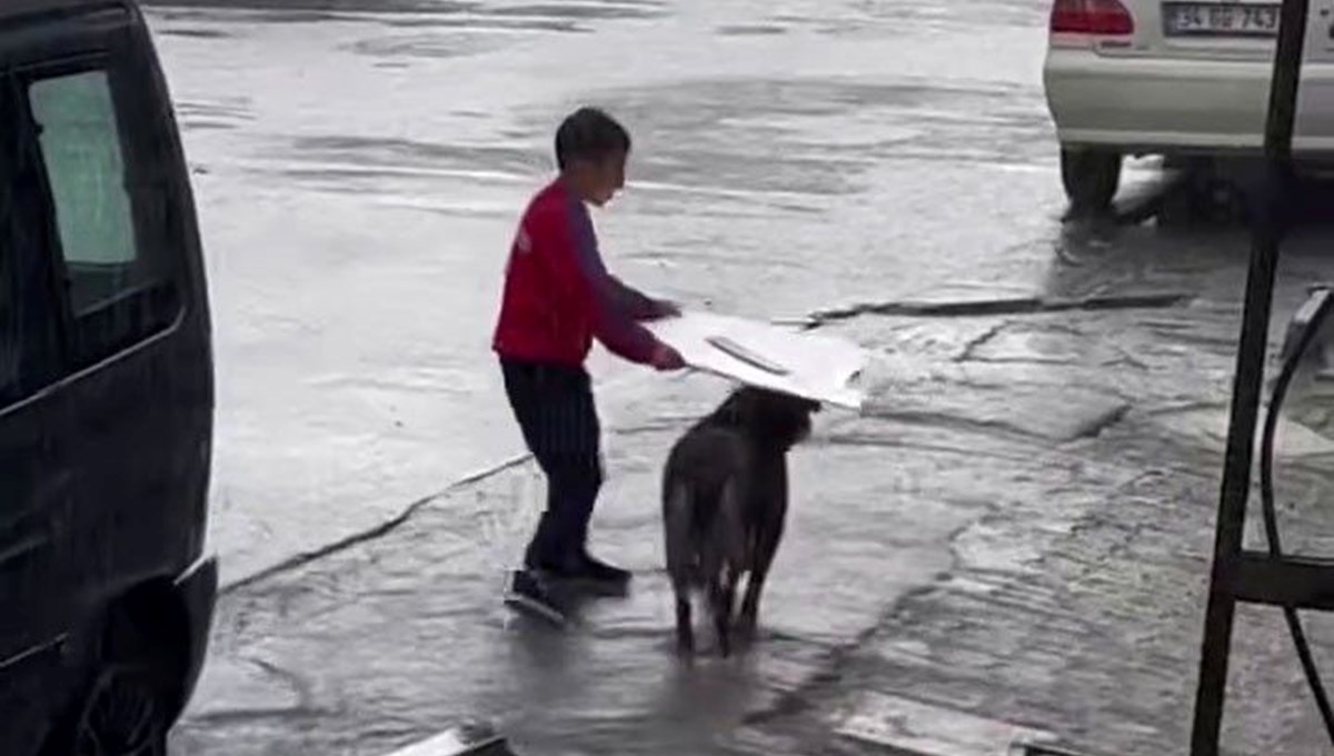 Küçük çocuk yağmurda sokak köpeğini böyle korudu Küçük çocuk yağmurda sokak köpeğini böyle korudu