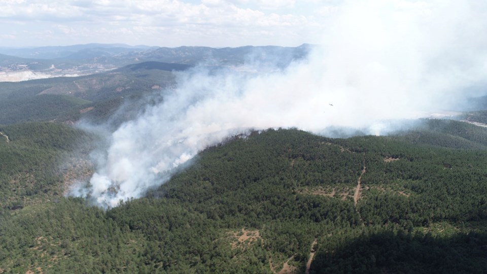 Bursa'da orman yangını 12 saatte söndürüldü (Sabotaj şüphesi) - 1