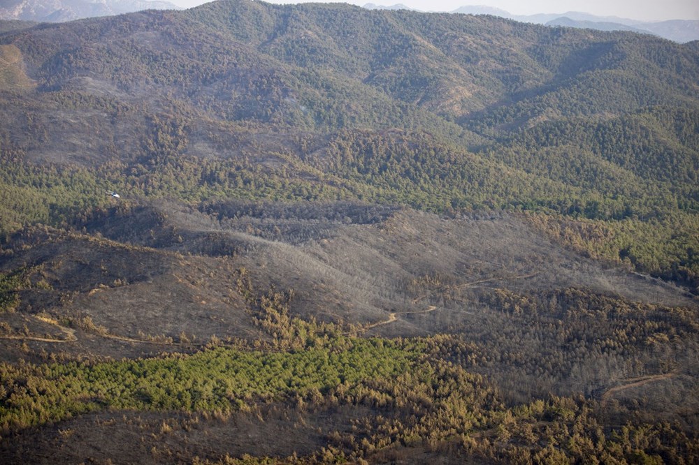 Marmaris'te orman yangını: Yanan alanlar havadan görüntülendi - 6