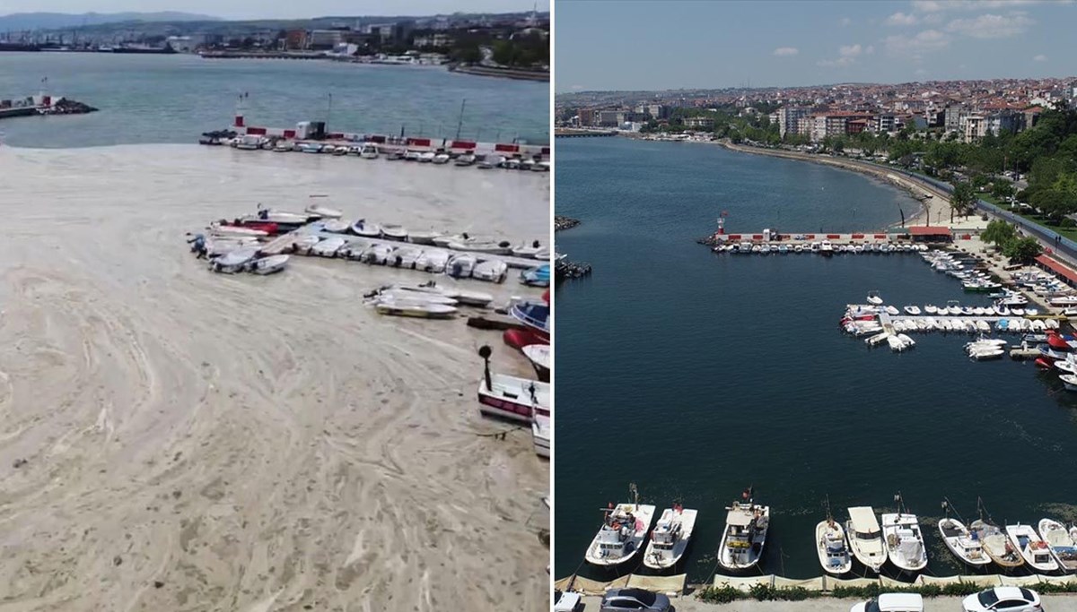 Tekirdağ kıyılarında müsilaj etkisini yitirdi