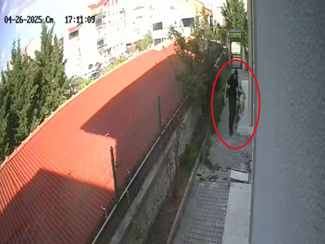 Sahiplendiği köpekleri evde parçalayıp öldüren doktor tutuklandı | NTV Haber