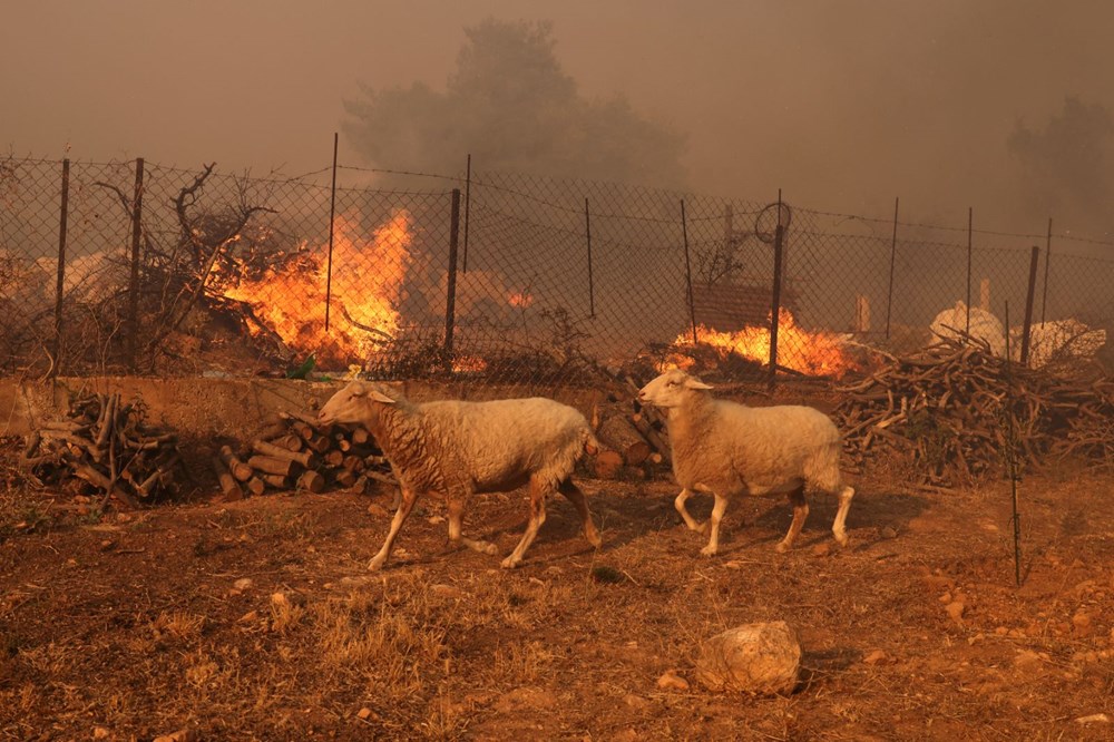 Yunanistan alevlerle boğuşuyor: Türkiye'nin gönderdiği uçaklar Atina'da - 9