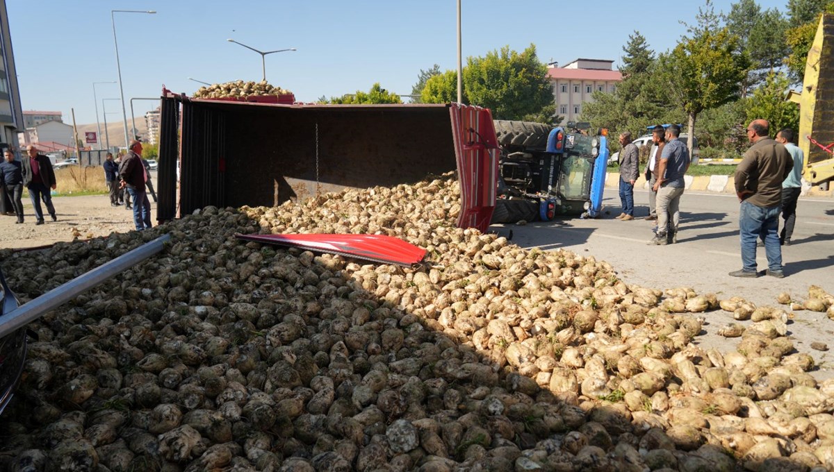 Muş'ta şeker pancarı yüklü traktör devrildi Muş'ta şeker pancarı yüklü traktör devrildi