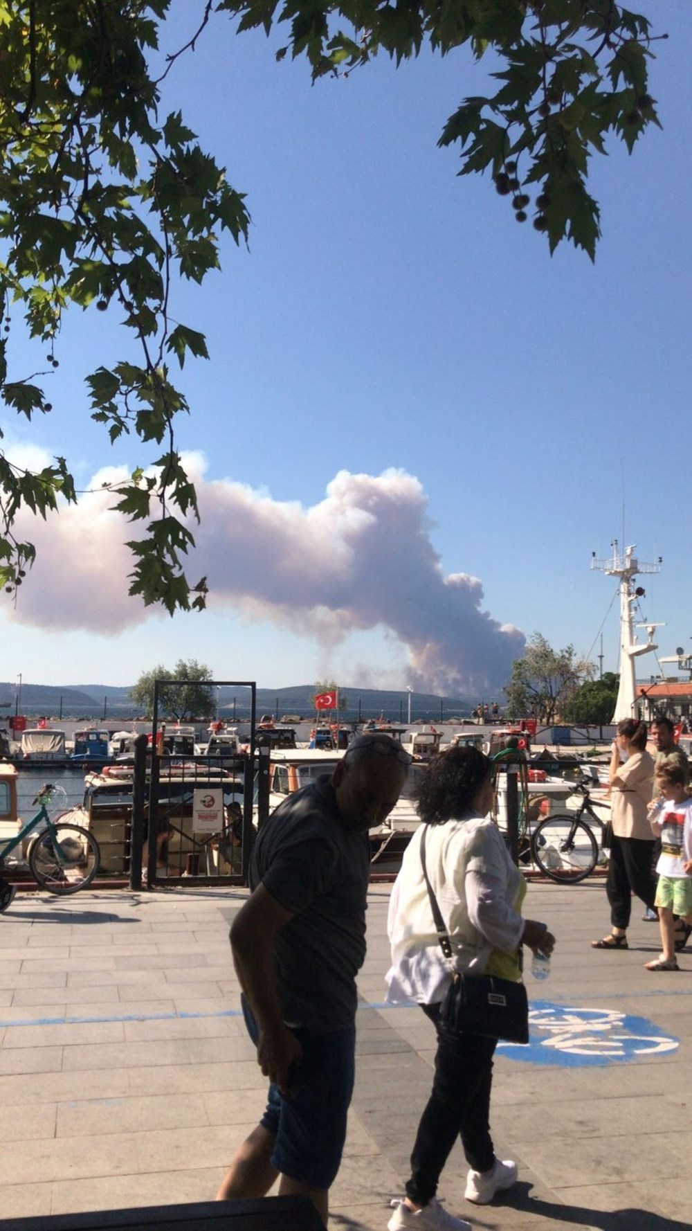 Çanakkale'deki orman yangını sürüyor | Boğaz'da gemi trafiği tek yönlü durduruldu - 9