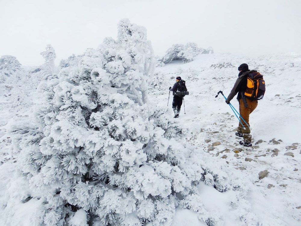 Mount Ida turned white: Nature lovers went for a walk - 3