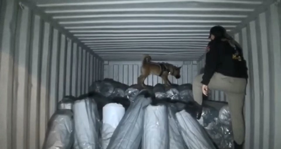 Meksika'dan İstanbul'a gelen gemide 1,5 ton uyuşturucu ele geçirildi - 1