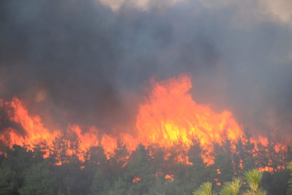 Çanakkale'de orman yangını - 4