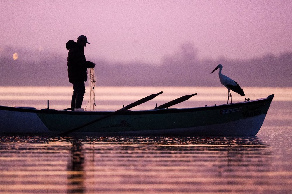 Yaren Leylek Gökyüzünde Belirdi: Baharın Müjdecisi Geldi! 72 FmlWEjuC0iS4kqAsg2p9g